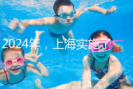 2024年,上海實(shí)施了新的生育保險(xiǎn)政策,單獨(dú)生兩個孩子也可以享受待遇