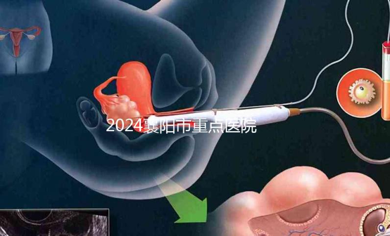 2024襄陽市重點醫(yī)院試管嬰兒費用明細，各項收費標準已列出