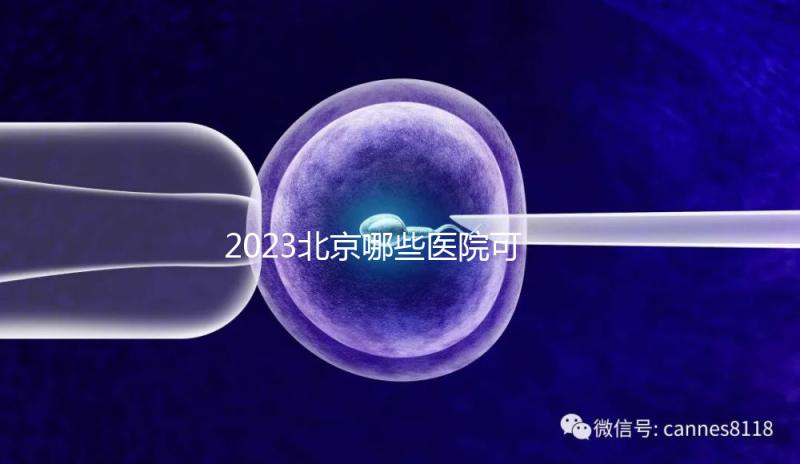 2023北京哪些醫院可以借卵生子？附北京供卵不排隊醫院名單(含排隊時長)