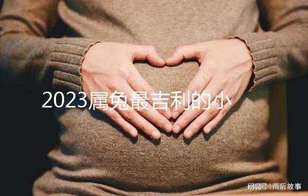 2023屬兔最吉利的小名精選，寓意好又洋氣的字不止涵、蔻