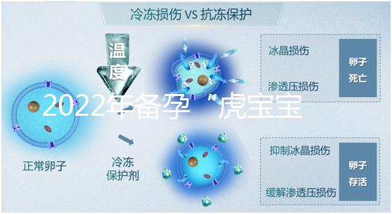 2022年備孕“虎寶寶”時間表，生孩子選這幾個月命最好