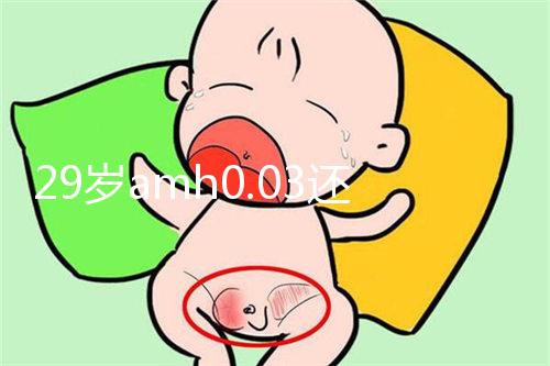 29歲amh0.03還能做試管嬰兒嗎？能否取到卵是懷孕關鍵