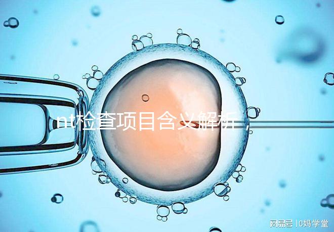 nt檢查項(xiàng)目含義解析，每個內(nèi)容都相當(dāng)重要