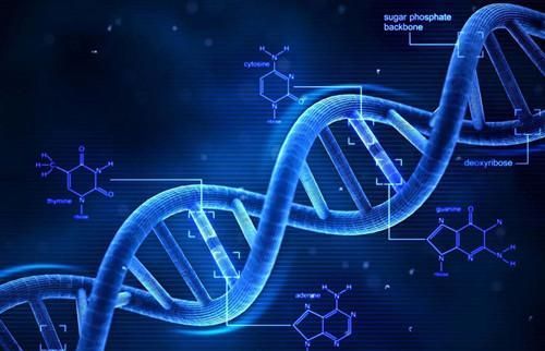 克隆技術 從喧囂到沉寂，科學家的解答揭示深層原因